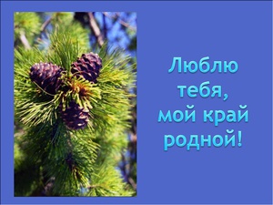 Клуб "Родное Белогорье"